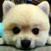 匪宜所思的个人资料头像