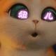 偷吃腥滴猫儿头像