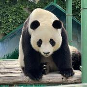 DYL的个人资料头像