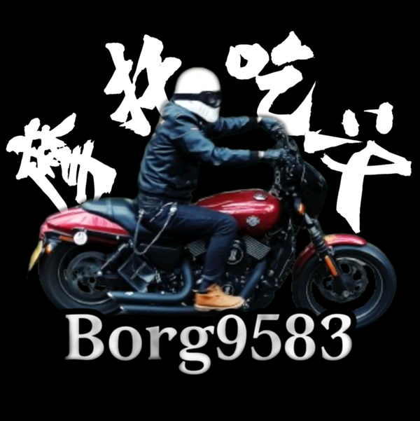 摩托吃汉borg9583头像