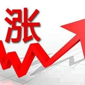 安哥爱炒头像