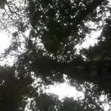 交个朋友吧豪281头像