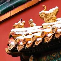 清闲的星辰OFsTC0z头像