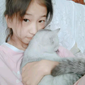抱猫&软卧头像