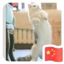 挽枫曲的个人资料头像