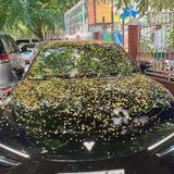 无聊的哪吒s用户头像