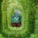 沉没在湖底的个人资料头像