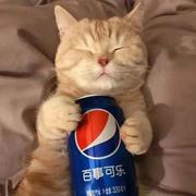 张志明456的个人资料头像