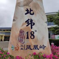 随风飘凌295头像