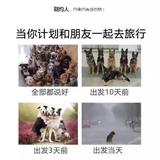 猫腻tv头像