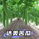 青岛天地惠泽农业LEE会长头像