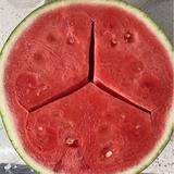 名字太难难取头像