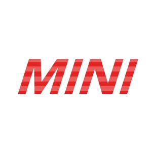 mini郭司基二手车头像