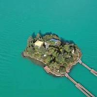 不会开车的马老师吖头像