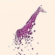 jets的个人资料头像