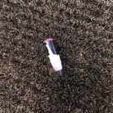 不开心就唱歌289头像