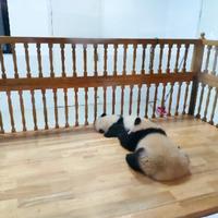 小小辣椒水头像