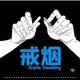 小陆乱撞。头像