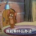 鸵鸟T扬杰头像