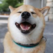 xing2656537的个人资料头像