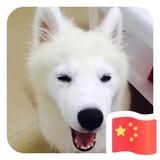 易XianSheng头像