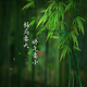香帅短视频头像