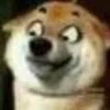 神兽老猫头像
