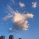 三毛5858265头像