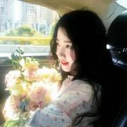 芝士塔的个人资料头像