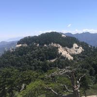 紫禁之巅523头像