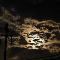 用户9118059868751头像