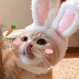 小何6757头像