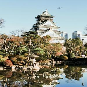 护国小矮子头像