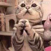 zero08的个人资料头像