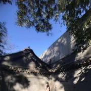 艾特熊的个人资料头像