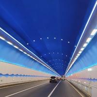 o如果还有明天o头像