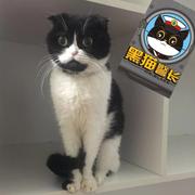 TyroCCCCC的个人资料头像