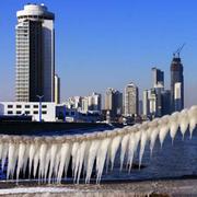 Triste356的个人资料头像