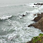 阳晕的个人资料头像