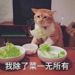 田杜迎菜头像
