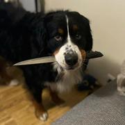 Jellybay的个人资料头像