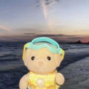 用户2138173628035的个人资料头像