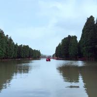 风中追梦347头像