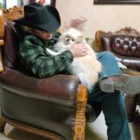 搬砖队小刘头像