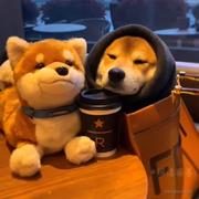 凉拌黄瓜的个人资料头像