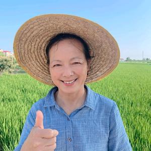上海王婆头像