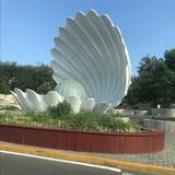 柳红雷70头像