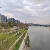 细心波顿9b8头像
