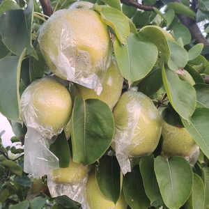 高唐县宝宇头像