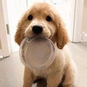 范家文的个人资料头像